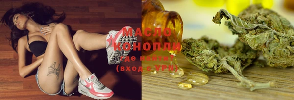 хмурый Аркадак