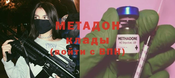 хмурый Аркадак