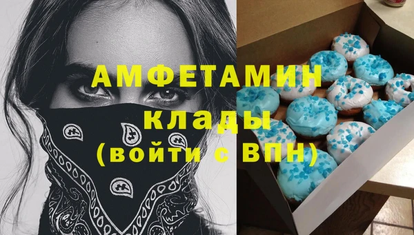 хмурый Аркадак