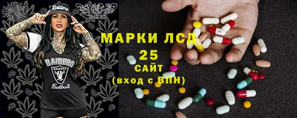хмурый Аркадак