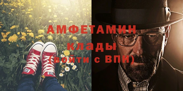 хмурый Аркадак