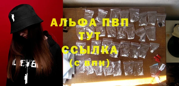 хмурый Аркадак