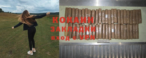 хмурый Аркадак