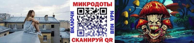 Галлюциногенные грибы Psilocybine cubensis где купить наркотик Усть-Джегута